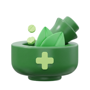 Generic Health Program Icon